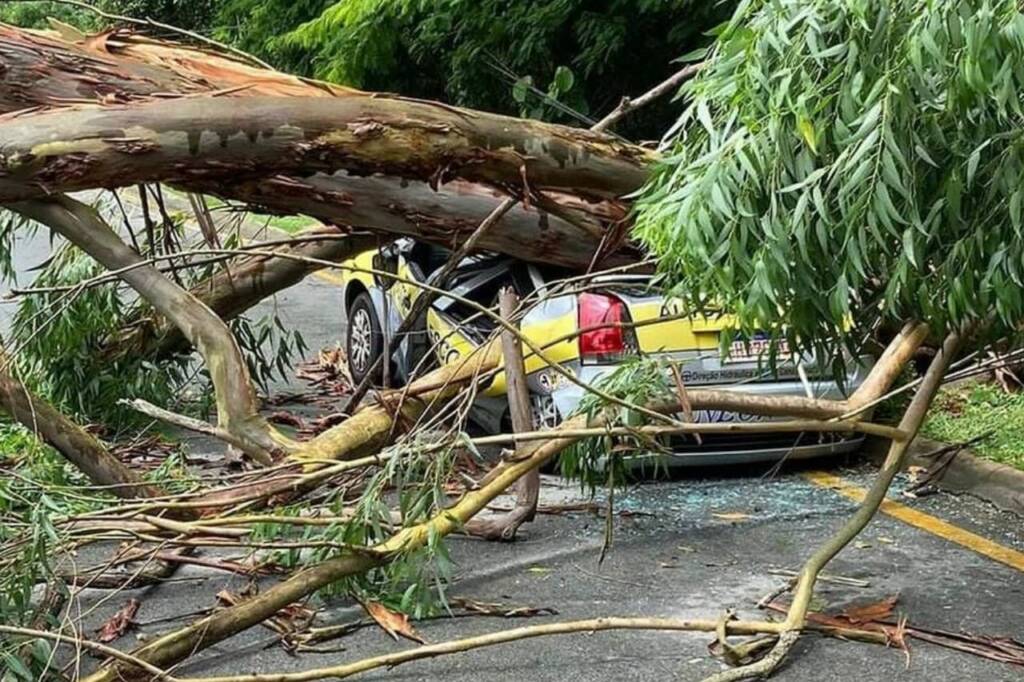 Rvore Cai Destr I Carro De Autoescola De Cotia E Instrutora E Aluna