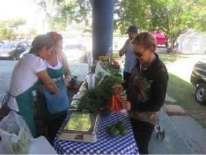 Barueri retoma Feira EcoSolidária aos sábados