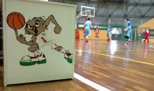 Basquete Osasco, basquete