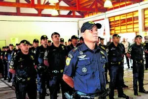 Divulgação