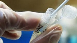 DNA mostra que ex-marido não é o pai e mãe é condenada a pagar indenização de R$ 39 mil em São Paulo