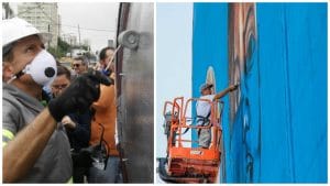 Doria Grafite