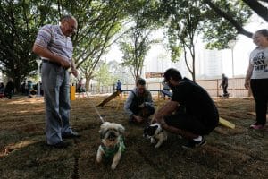 Projeto prevê “pet parque” em todas as praças e parques de Osasco