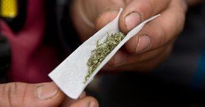 maconha