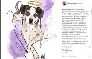 cachorro carrefour