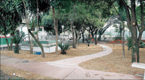 hospital veterinário osasco