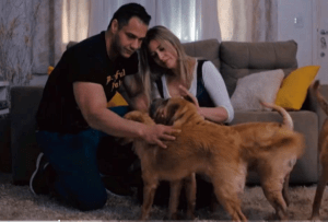 casal de cotia resgata animais