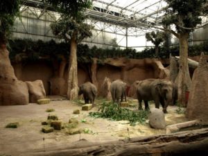 Zoológico Cotia