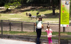 Zoológico de São Paulo