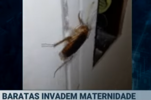 maternidade osasco