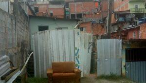 cotia