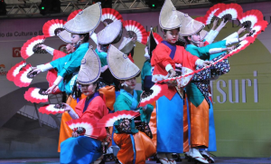 festival cultura japonesa