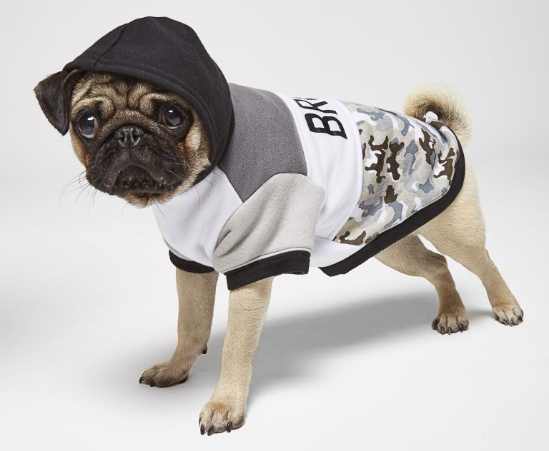 Prefeitura de Osasco cria Campanha do Agasalho para pets