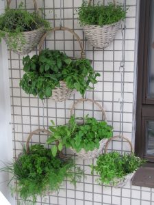 jardim vertical osasco