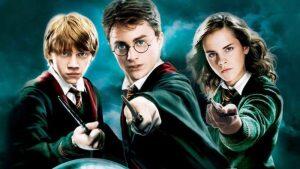 harry potter sesi osasco