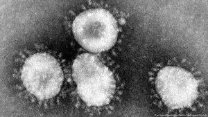 coronavirus brasil