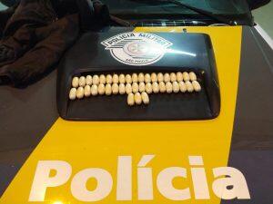 raposo tavares