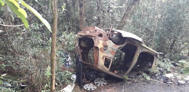 2 criminosos são presos em desmanche clandestino no meio da mata em Cotia
