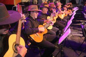 orquestra de viola