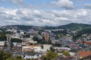 cotia