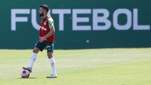 doria libera treino times de futebol paulista - foto Cesar Greco Palmeiras