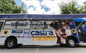Castramovel Itapevi