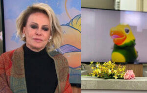 ana maria braga louro josé tom veiga