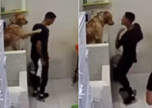 funcionário dançando com cachorro