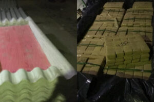 1 tonelada de maconha osasco