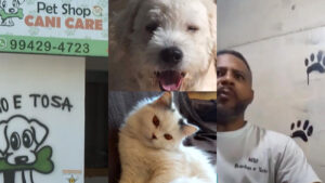 pet shop carapicuiba