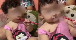 bebe narguile