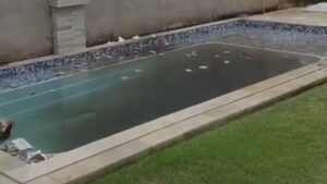 mulher jogava fezes na casa dos vizinhos