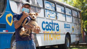 itapevi inscrições castração de cães e gatos