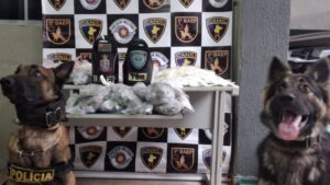 Casa cheia de drogas em osasco (1)