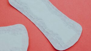 absorventes alunas estaduais
