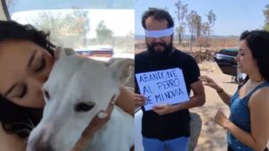 mulher abandona noivo que abandonou sua cadelinha