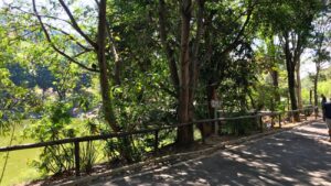 parque jardim das flores osasco