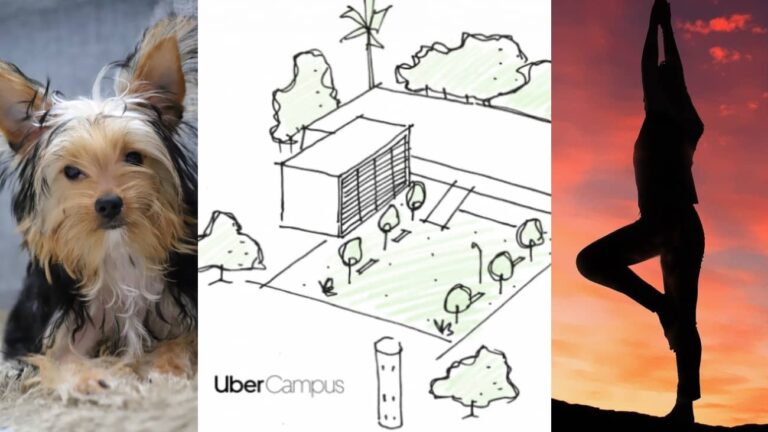 Nova sede da Uber, em Osasco, terá espaços para yoga e cães de estimação dos funcionários