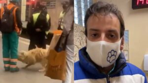 agressão cachorro osasco