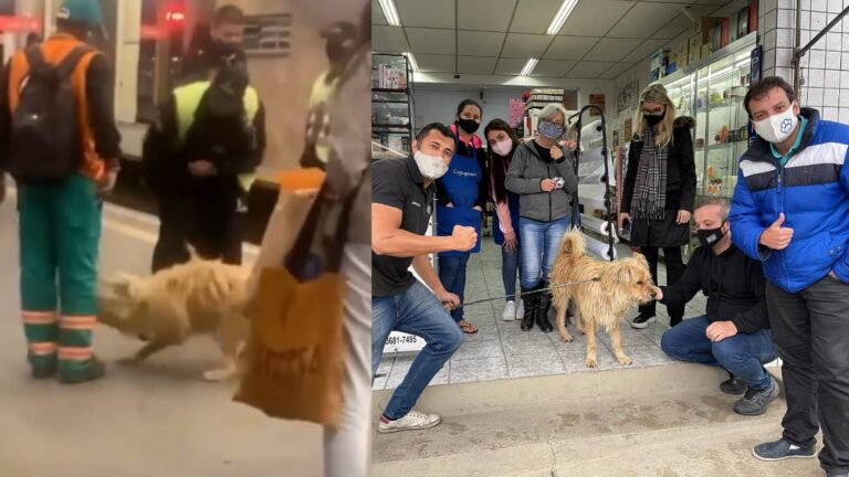 Cachorro agredido por segurança da CPTM em Osasco é resgatado e vereador chama agressor de “vagabundo”