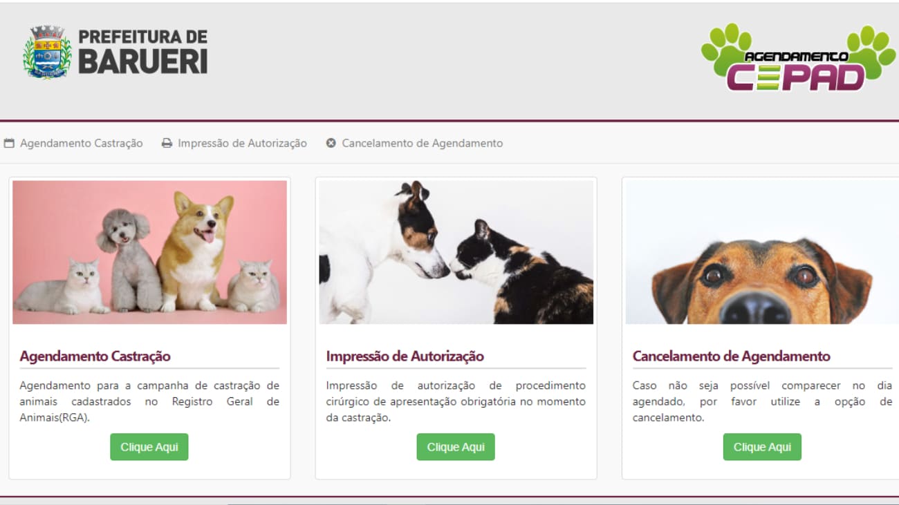 Barueri abrirá agendamento on-line para castração de pets no dia 8 de  novembro