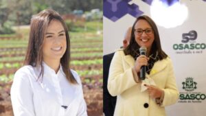 bruna furlan renata abreu voto impresso