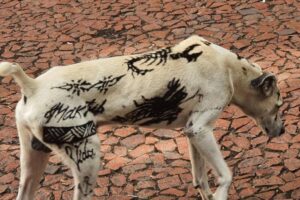 tatuagem cachorro