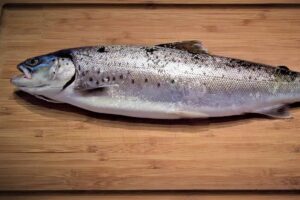 peixe