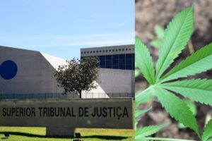 stj maconha