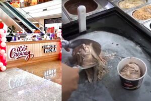 ice creamy itapevi sorvete na pedra