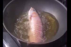 mulher frita peixe estimacao marido
