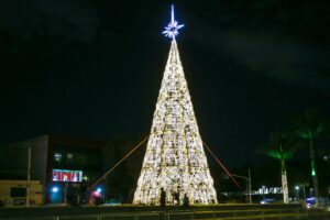decoração natal osasco