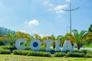 cotia