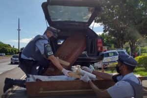 drogas caixão carro funerário